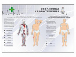 Электрифицированный стенд "Остановка кровотечения" - fgospostavki.ru - Томск