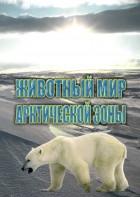 DVD "Животный мир Арктической зоны" - fgospostavki.ru - Томск