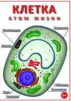DVD "Клетка - "атом жизни" - fgospostavki.ru - Томск