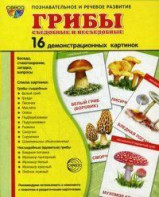 Демонстрационные карточки "Грибы съедобные и не съедобные" - fgospostavki.ru - Томск