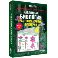 Наглядная биология. 6 класс. Растения. Грибы. Бактерии - fgospostavki.ru - Томск