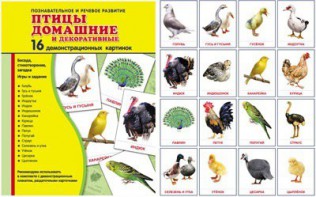 Демонстрационные карточки "Птицы домашние и декоративные" - fgospostavki.ru - Томск