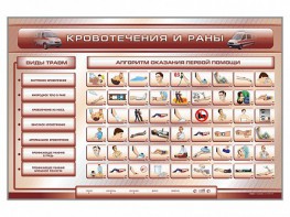 Трехсекционный базовый комплект "Травмы. Кровотечения. Ожоги" для учащихся общеобразовательных учреждений - fgospostavki.ru - Томск