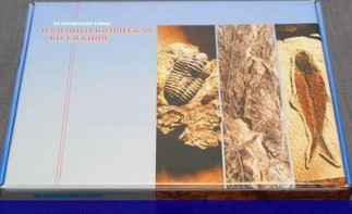 Коллекция "Палеонтологическая" (16 образцов) - fgospostavki.ru - Томск