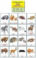 Раздаточные карточки "Дикие животные (1)" - fgospostavki.ru - Томск