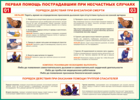 Таблица "Порядок действий при внезапной смерти" (100х140 сантиметров, винил) - fgospostavki.ru - Томск