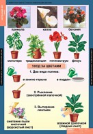 Комплект таблиц. Окружающий мир 1 класс. - fgospostavki.ru - Томск