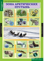 Комплект таблиц. Окружающий мир 4 класс. - fgospostavki.ru - Томск