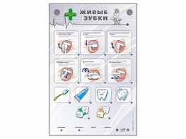 Интерактивный стенд "Живые зубки" - fgospostavki.ru - Томск