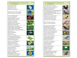 Комплект карточек (10) "Обучающий калейдоскоп. Природа" - fgospostavki.ru - Томск