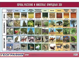 Таблица демонстрационная "Почвы, растения и животные природных зон" (винил 70*100) - fgospostavki.ru - Томск