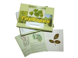 Гербарий "Дикорастущие растения" (30 видов, с иллюстрациями) - fgospostavki.ru - Томск