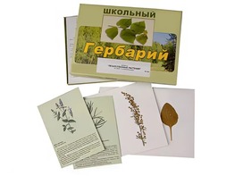 Гербарий "Лекарственные растения" (22 вида с иллюстрациями) - fgospostavki.ru - Томск