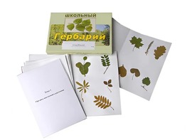 Гербарий "Морфология растений" (6 тем, 30 видов) - fgospostavki.ru - Томск