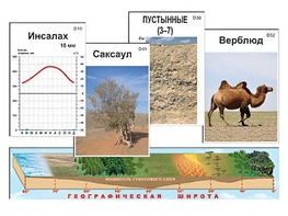 Модель-аппликация "Природные зоны" - fgospostavki.ru - Томск