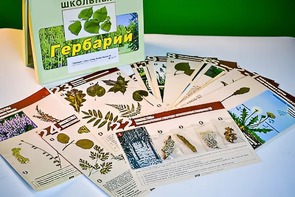 Гербарий к курсу основ общей биологии - fgospostavki.ru - Томск