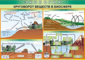 Таблица "Круговорот веществ в биосфере" (100х140 сантиметров, винил) - fgospostavki.ru - Томск