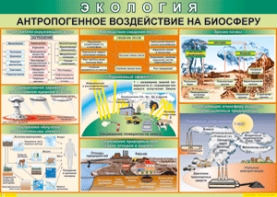 Таблица "Антропогенное воздействие на биосферу" (100х140 сантиметров, винил) - fgospostavki.ru - Томск