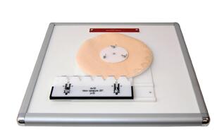 Комплекс "Изучение зубьев" - fgospostavki.ru - Томск