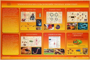 Электрифицированный стенд «Эпизоотология сельскохозяйственных животных» - fgospostavki.ru - Томск