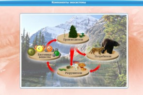 Интерактивные курсы. Биология 7 класс. Базовый. - fgospostavki.ru - Томск