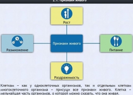 Интерактивные курсы. Биология 5 класс. Базовый - fgospostavki.ru - Томск