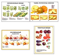 Плакаты ПРОФТЕХ "Ассортимент овощных культур" (12 пл, винил, 70х100) - fgospostavki.ru - Томск