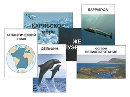 Модель-аппликация "Океаны. Знакомство" (ламинированная) - fgospostavki.ru - Томск
