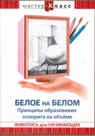 DVD "Мастер-класс. Живопись для начинающих. Белое на белом. Принципы образования колорита на объеме" - fgospostavki.ru - Томск