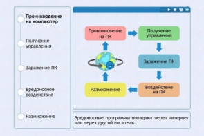 Интерактивные курсы. Информатика 10 класс . Базовый. - fgospostavki.ru - Томск