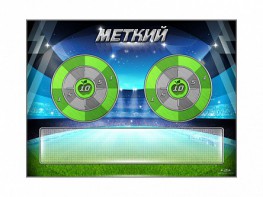 Электрифицированный координационно-развивающий спортивный комплекс "Меткий" - fgospostavki.ru - Томск