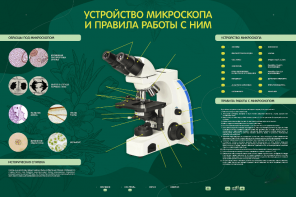 Электрифицированный стенд "Устройство микроскопа и правила работы c ним" - fgospostavki.ru - Томск