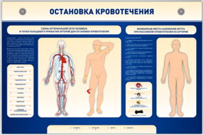 Электрифицированный стенд-тренажер "Остановка кровотечения" - fgospostavki.ru - Томск