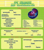 Стенд "От клетки до организма" - fgospostavki.ru - Томск