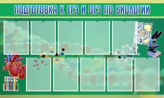 Стенд "Подготовка к ЕГЭ и ОГЭ по биологии" Вариант 2 - fgospostavki.ru - Томск