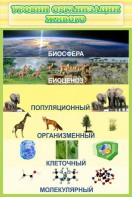 Стенд "Уровни организации живого" - fgospostavki.ru - Томск