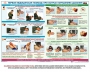 Комплект плакатов "Оказание первой доврачебной медицинской помощи" - fgospostavki.ru - Томск