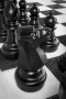 Напольные фигуры шахматные гигантские 61 - fgospostavki.ru - Томск