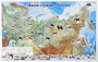 Магнитные карточки "Животные" - fgospostavki.ru - Томск