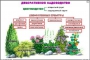 Комплект кодотранспарантов "Культурные растения" - fgospostavki.ru - Томск