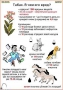Комплект кодотранспарантов "Ядовитые растения" - fgospostavki.ru - Томск